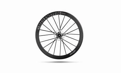 Lightweight Meilenstein EVO tubeless DISC Schwarz ED