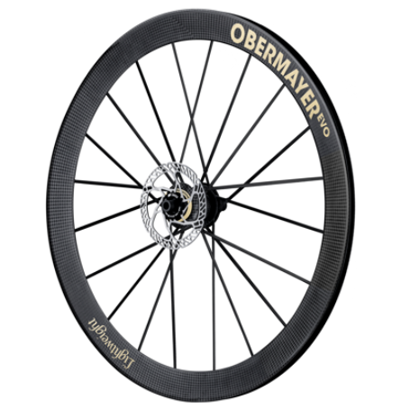 Lightweight Obermayer EVO Tubeless Disc Platinum Limited Edition 44/99